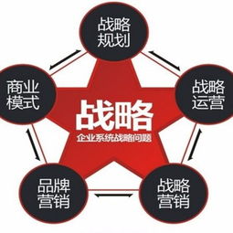王紫杰 企业战略体系设计dvd 16